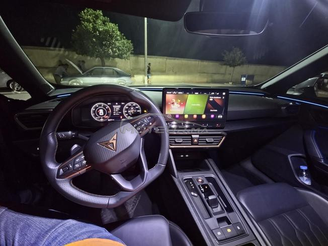 cupra 2023