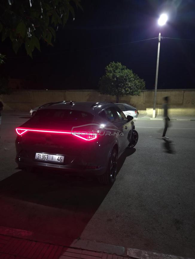 cupra 2023