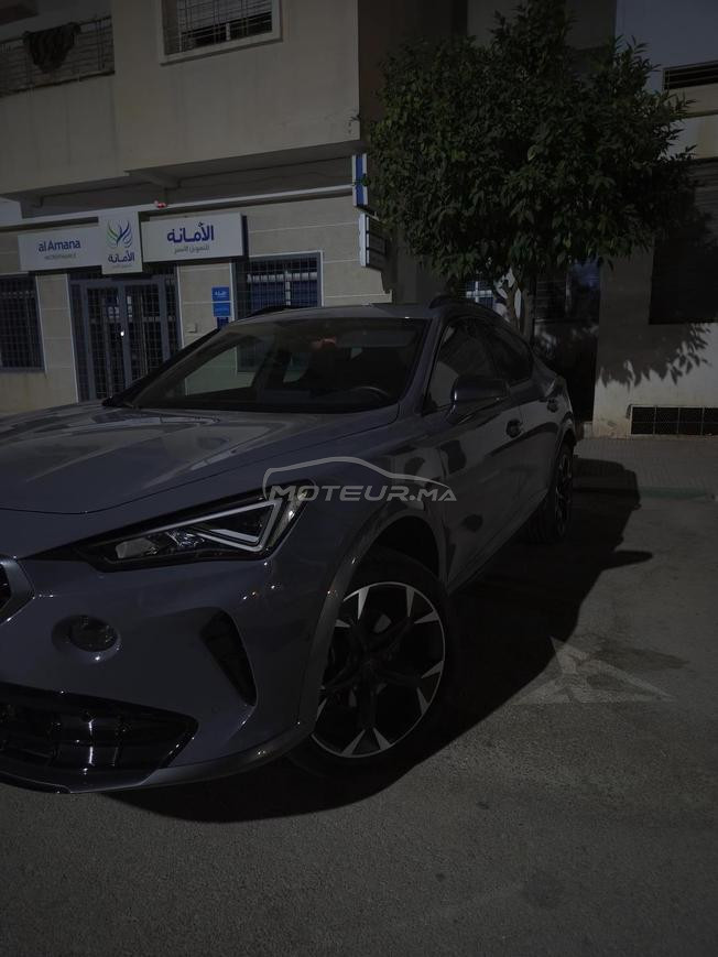 cupra 2023