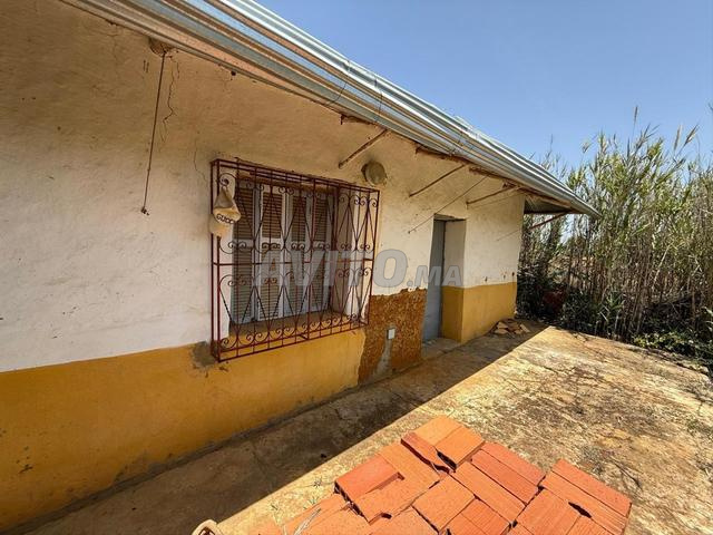 منزل ريفي وأرض مسجلة للبيع - 2