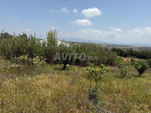 Maison rustique et terrain titré à vendre