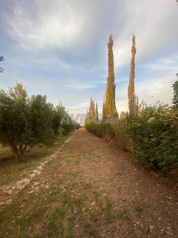 Terrain à Bouzama Votre Projet de Villa