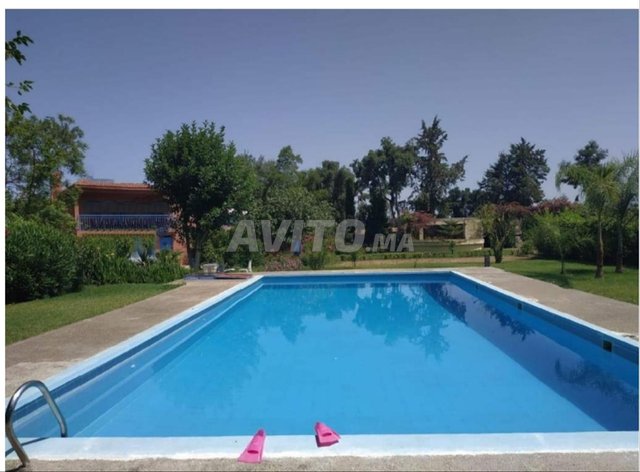 مزرعة للبيع