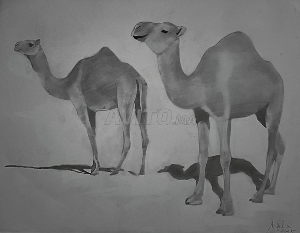 8 لوحات أصلية بقلم الرصاص