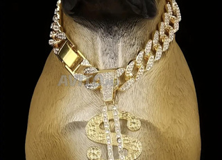 أطواق للكلاب