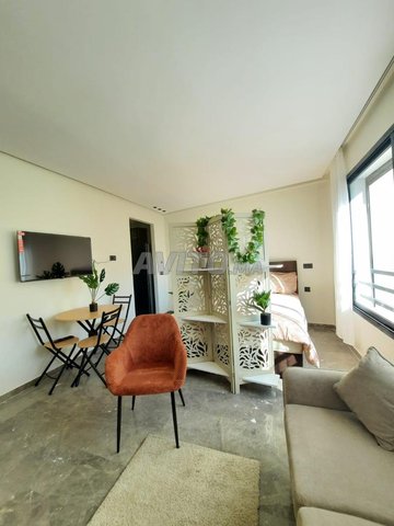 Studio 34m Meublé Loft Gauthier