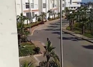 Appartement 80m Marina Golf