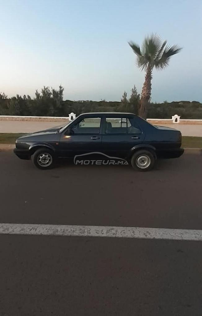 jetta  