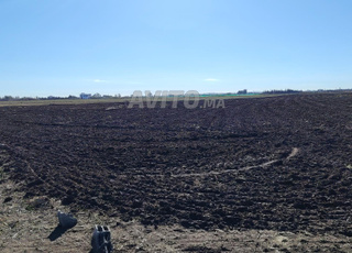 1.15 ha titré à Benslimane ain laksab