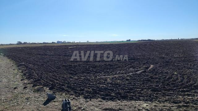 1.15 ha titré à Benslimane ain laksab