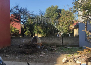 Terrain à vendre à Amsa