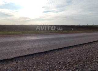 3.6 ha titré sur la route à Benslimane