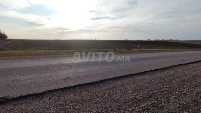 3.6 هكتار موثق على الطريق في بنسليمان