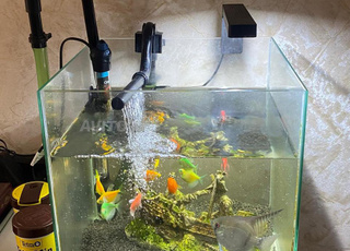 حوض سمك أصلي بجميع ملحقاته كاملة