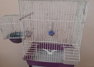 قفص مع ملحقات