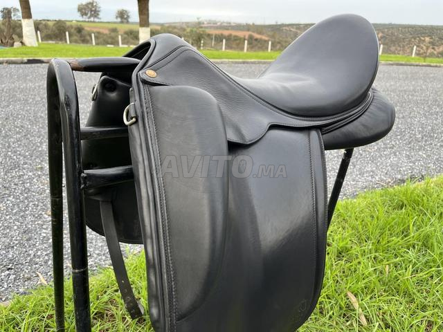 سرج ترويض Aulion