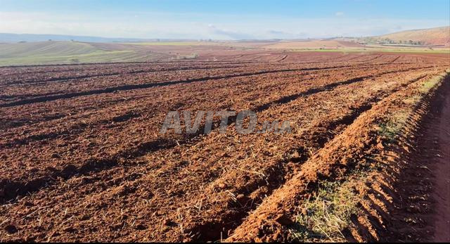 Deux hectares titrés complets à 53 millions aux environs de Tiflet