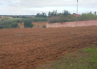 Ferme près de la ville sur la route