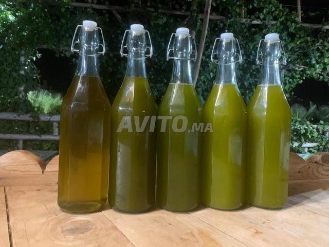 Huile d’olive extra vierge Bio - 2