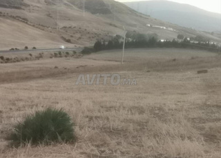 Terrain à vendre route Ard Chawi