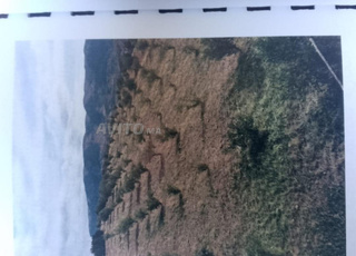 Ferme a vendre Sefrou Azaba