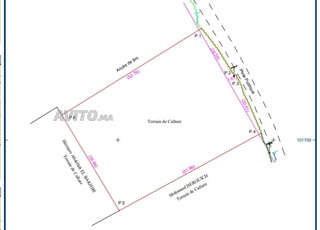 Terrain 2000 m² à vendre secteur top