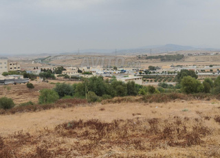 Terrain de 1000 mètres à vendre à Tanger Ain Dalia 🔥