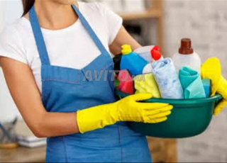 خادمة للدار - خدمة في المستوى