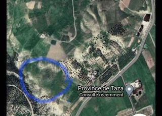 6 hectares titré à vendre