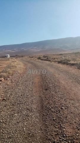 Terrain Melkia 1 hectare en règle avec documents