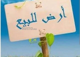 Terrain à vendre situé dans la région de D'idaidat, Tanger