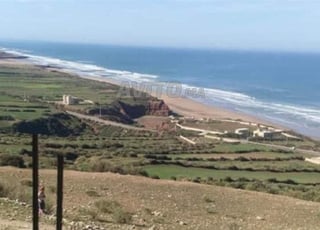 أرض في الصويرة