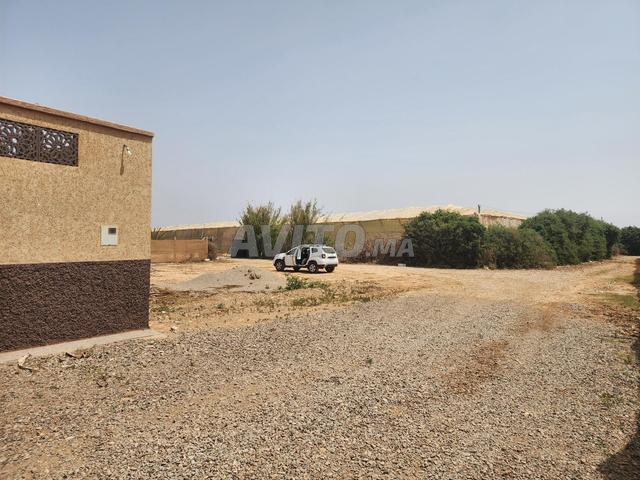 Terrain de 2500m² titré à 200DH/m² - 2