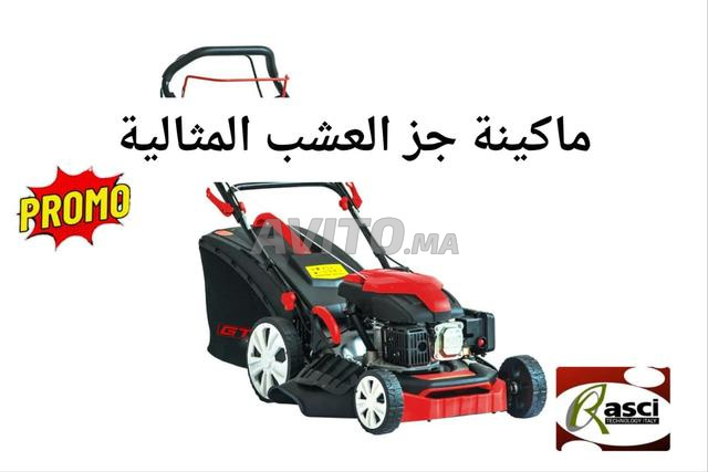 TONDEUSE A GAZON THERMIQUE