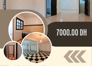 3 Niveaux Pour Activité Pro