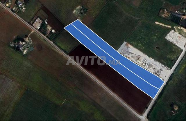 Terrain industriel dans la région de Tit Mellil - Rare opportunité d'investissement