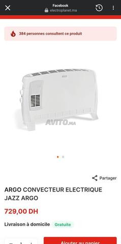 convecteur electrique