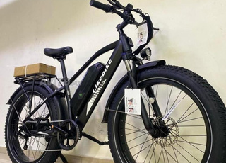 VÉLO ÉLECTRIQUE LIKEBIKE LANDER