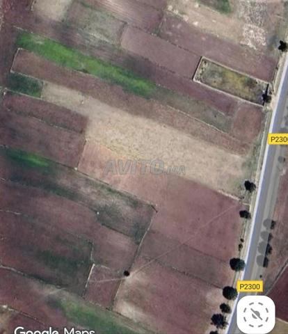 Terrain titré proche de l'Ahad Harara sur Chanti