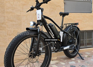Vélo électrique. Livraison dans toutes les villes