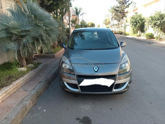 سينيك مازوط2012 الولفة