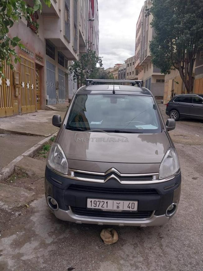 Citrouin birlingo 6 v