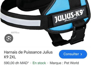 سرج للكلاب جوليوس K9