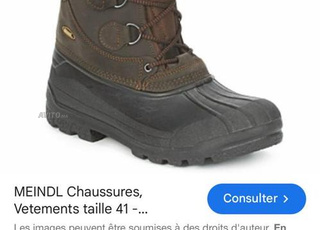 botte froid neige meindl