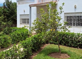Villa avec une grande piscine en pleine campagne.