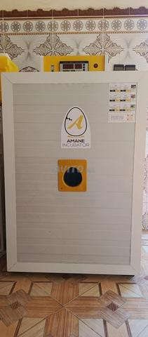 فقاسة الأمان 605 بيضات Aman Incubateur