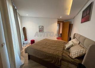 استوديو يومي / ليلي