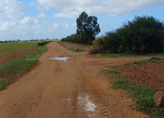 Hectare Titre foncier