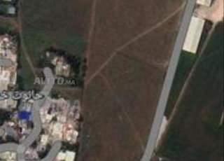 Terrain agricole 11000 mètres carrés Prix 1600dh négociable