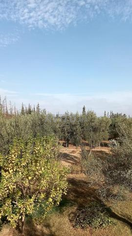 Terrain à vendre route d'Akfay sur la route principale